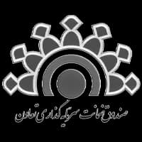 لوگوی مشتری شماره 52